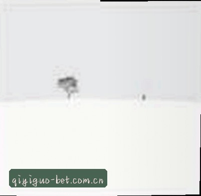 赵敏